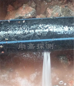 七里河消防管道漏点探测