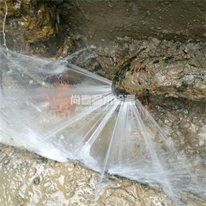 七里河自来水管道漏点检测